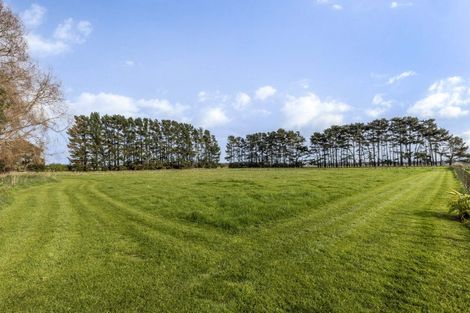 Photo of property in 154 Main Road, Levin, 5510