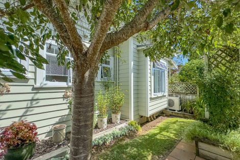 Photo of property in 11 Kennedy Street, Paeroa, 3600