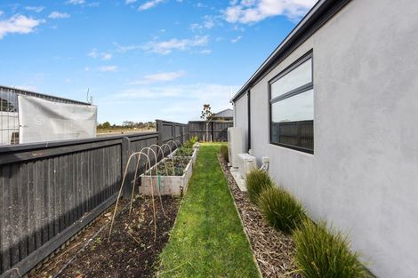 Photo of property in 24 Edward Law Boulevard, Prebbleton, 7604