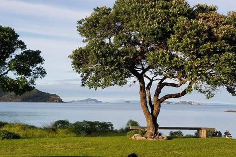 Photo of property in 1 Otautu Wharf Road, Colville, Coromandel, 3584