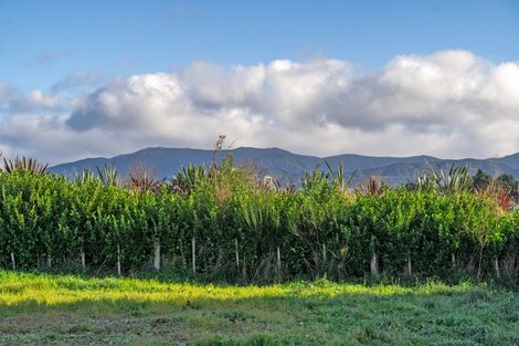 Photo of property in 6 Hosford Lane, Greytown, 5712