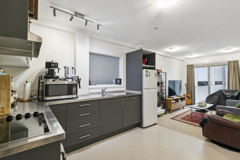 Photo of property in Monvie Apartments, 209/15 Holland Street, Te Aro, Wellington, 6011