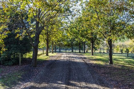 Photo of property in 1499 Tram Road, Swannanoa, Rangiora, 7475