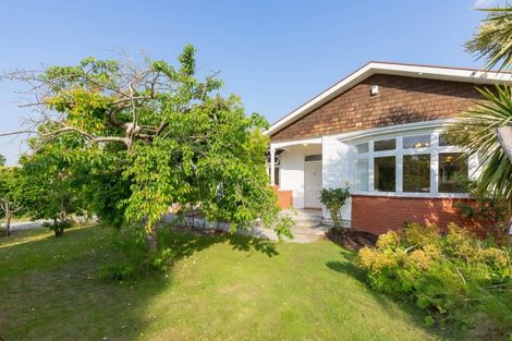 Photo of property in 97 Renall Street, Masterton, 5810