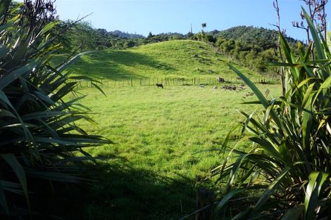 Photo of property in 23 Wadham Road, Ngaruawahia, 3793