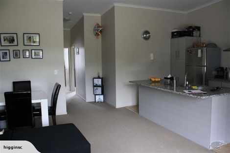 Photo of property in 17/11 Carlos Drive, Flat Bush, Auckland, 2016