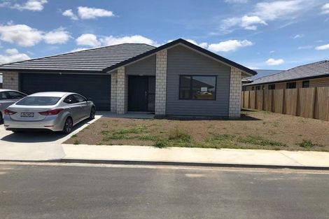 Photo of property in 42 Maggie Place, Chartwell, Hamilton, 3210