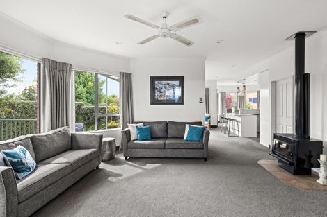 Photo of property in 13 Arcadia Lane, Havelock North, 4130