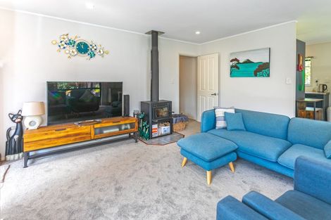 Photo of property in 738 The 309 Road, Waiau, Coromandel, 3581