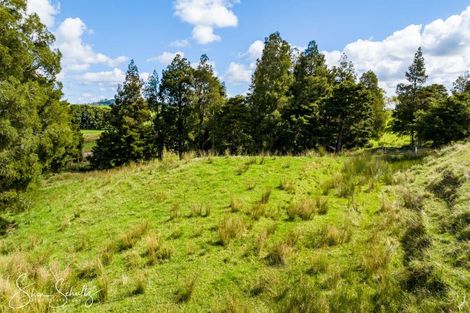 Photo of property in 1181 State Highway 12, Maungaturoto, 0583