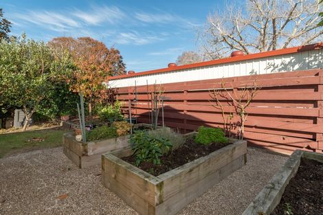 Photo of property in 50a Myres Street, Otumoetai, Tauranga, 3110