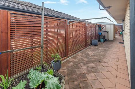 Photo of property in 55 Malta Crescent, Katikati, 3129