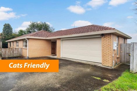 Photo of property in 14 Les Marston Place, Pukekohe, 2120