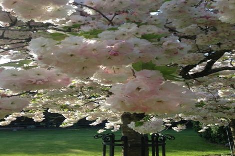 Photo of property in 886 Two Chain Road, Swannanoa, Rangiora, 7475