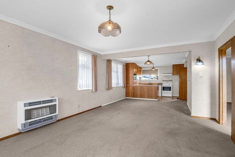 Photo of property in 22 Snowdon Avenue, Terrace End, Palmerston North, 4410
