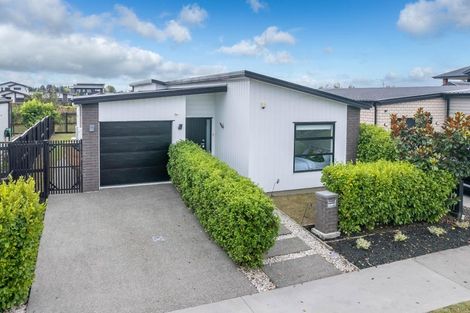 Photo of property in 67 Probert Crescent, Chartwell, Hamilton, 3210