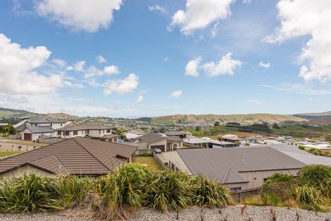 Photo of property in 51 Woodridge Drive, Woodridge, Wellington, 6037