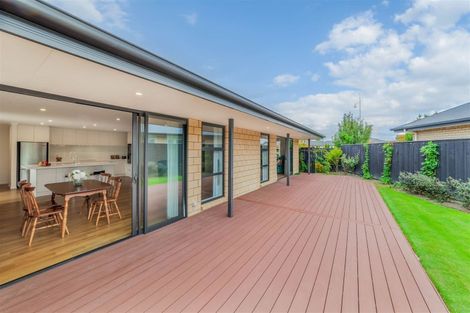 Photo of property in 8 Murfitt Street, Pegasus, 7612