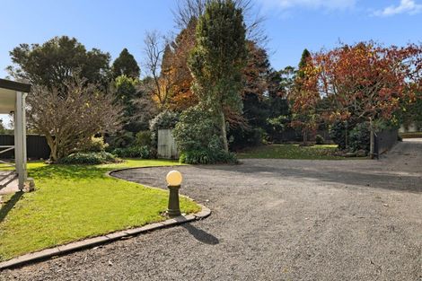 Photo of property in 556 Pyes Pa Road, Pyes Pa, Tauranga, 3173