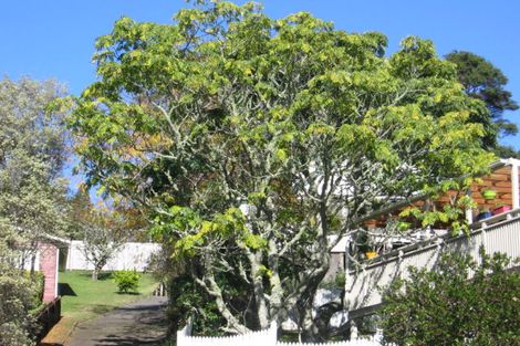 Photo of property in 102 Daffodil Street, Titirangi, Auckland, 0604