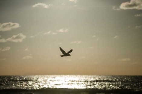 Photo of property in 52 Ames Street, Paekakariki, 5034
