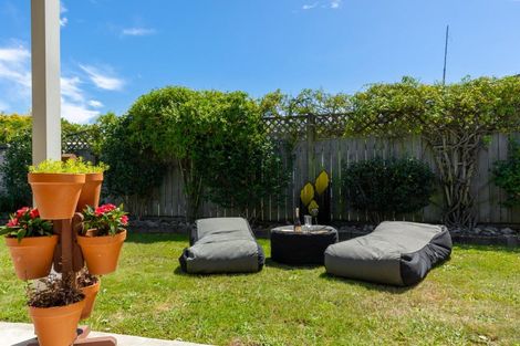 Photo of property in 41 Uxbridge Street, Renwick, 7204