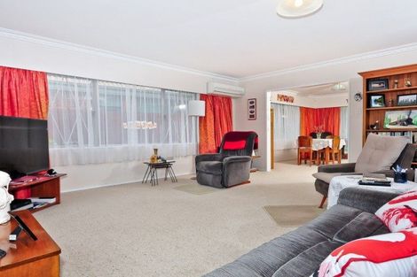 Photo of property in 3 Mcmeekan Avenue, Chartwell, Hamilton, 3210