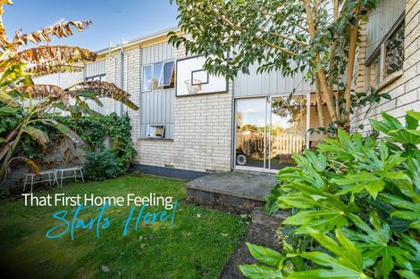 Photo of property in 28 Sunnyhills Avenue, Glenview, Hamilton, 3206