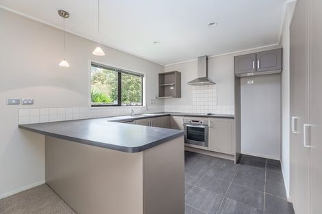 Photo of property in 107 Richardson Road, Mount Albert, Auckland, 1025