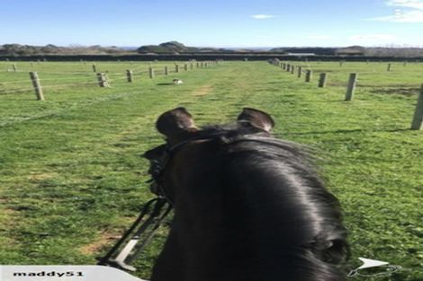 Photo of property in 149 Wright Road, Waiau Pa, Pukekohe, 2679