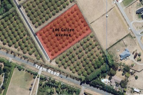 Photo of property in 146 Cullen Avenue, Swannanoa, 7475