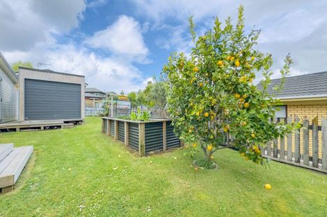 Photo of property in 1 Ohinemuri Place, Paeroa, 3600