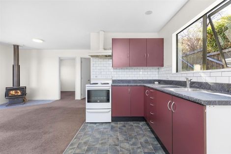 Photo of property in 30 Noema Terrace, Lake Hawea, Wanaka, 9382