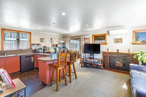 Photo of property in 44 Mckenzie Street, Levin, 5510