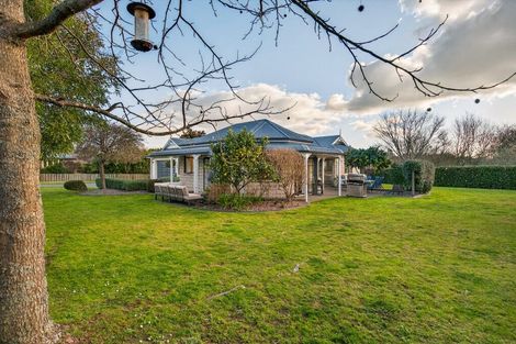 Photo of property in 15 Grace Avenue, Leamington, Cambridge, 3432