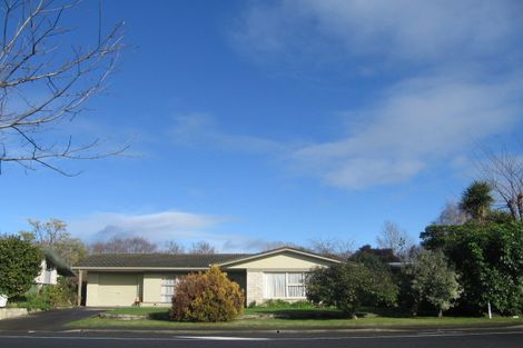 Photo of property in 115 Flaxmere Avenue, Flaxmere, Hastings, 4120