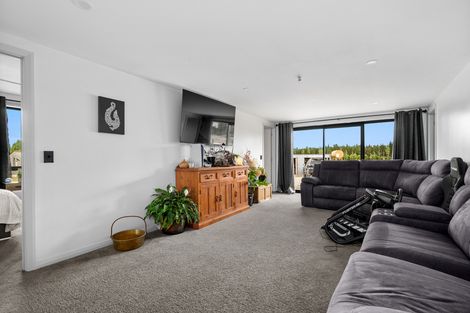 Photo of property in 249 Letts Gully Road, Letts Gully, Alexandra, 9393