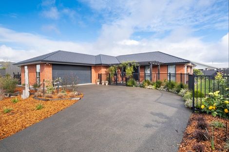 Photo of property in 24 Grooby Place, Havelock North, 4130