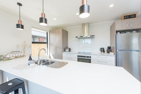 Photo of property in 73 Malone Crescent, Richmond, 7020