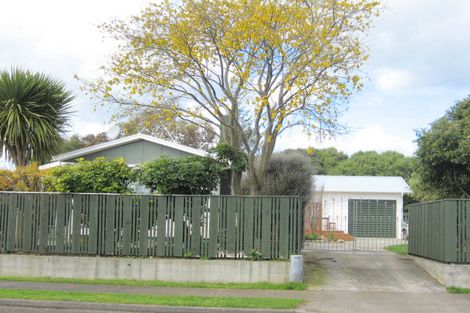 Photo of property in 25 Strathmore Avenue, Levin, 5510