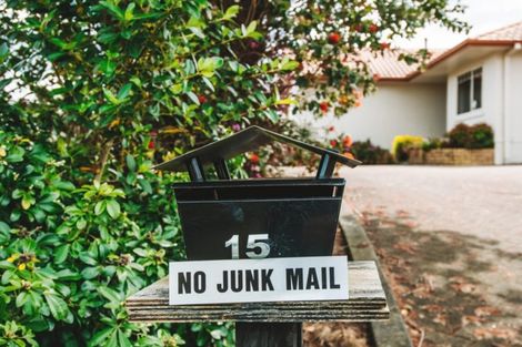 Photo of property in 15 Rochester Place, Bethlehem, Tauranga, 3110