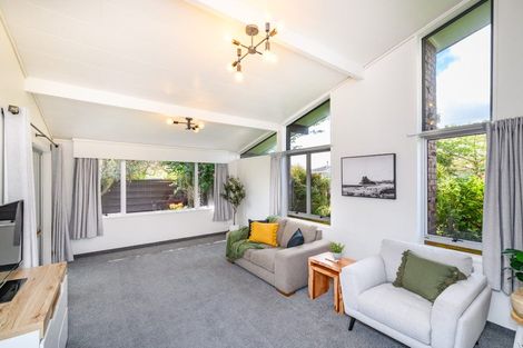 Photo of property in 115 Winchester Street, Ashhurst, 4810