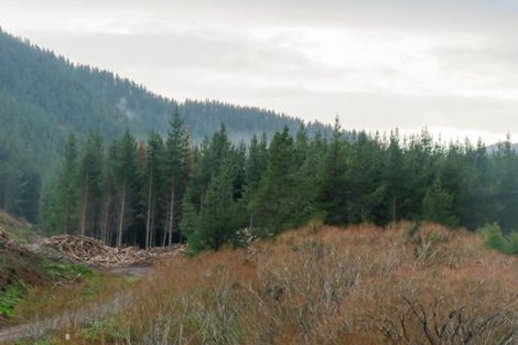 Photo of property in 3224 Waihopai Valley Road, Waihopai Valley, Blenheim, 7276