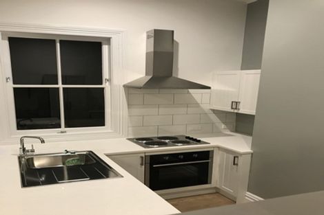 Photo of property in 23 Buchanan Street, Kingsland, Auckland, 1021