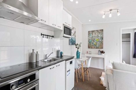 Photo of property in 259b Mount Albert Road, Wesley, Auckland, 1041