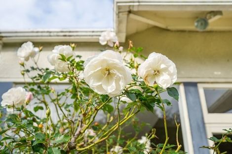 Photo of property in 6 Penrose Street, Woburn, Lower Hutt, 5010