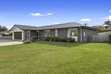 Photo of property in 39 Hartis Avenue, Huntly, 3700