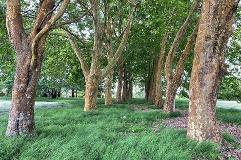 Photo of property in 126e Woodcock Road, Tamahere, Hamilton, 3283