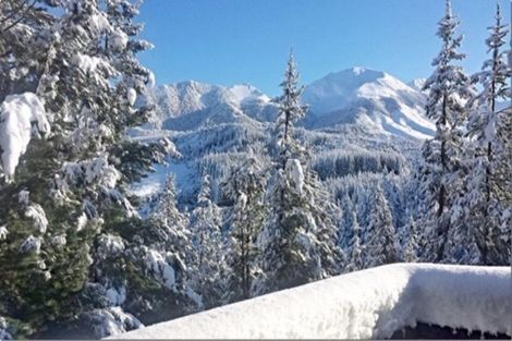 Photo of property in 74 Mount Lyford Forest Drive, Lyford, Waiau, 7395