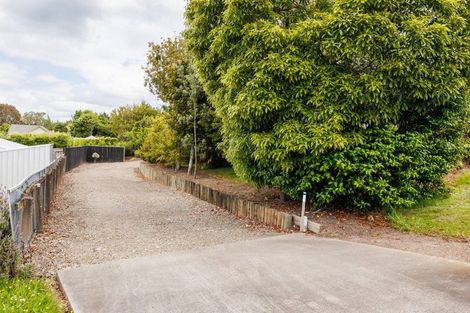 Photo of property in 4 Windsor Terrace, Feilding, 4702